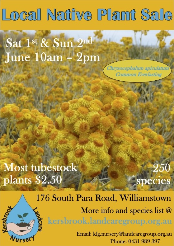 Poster for 2020 plant sales