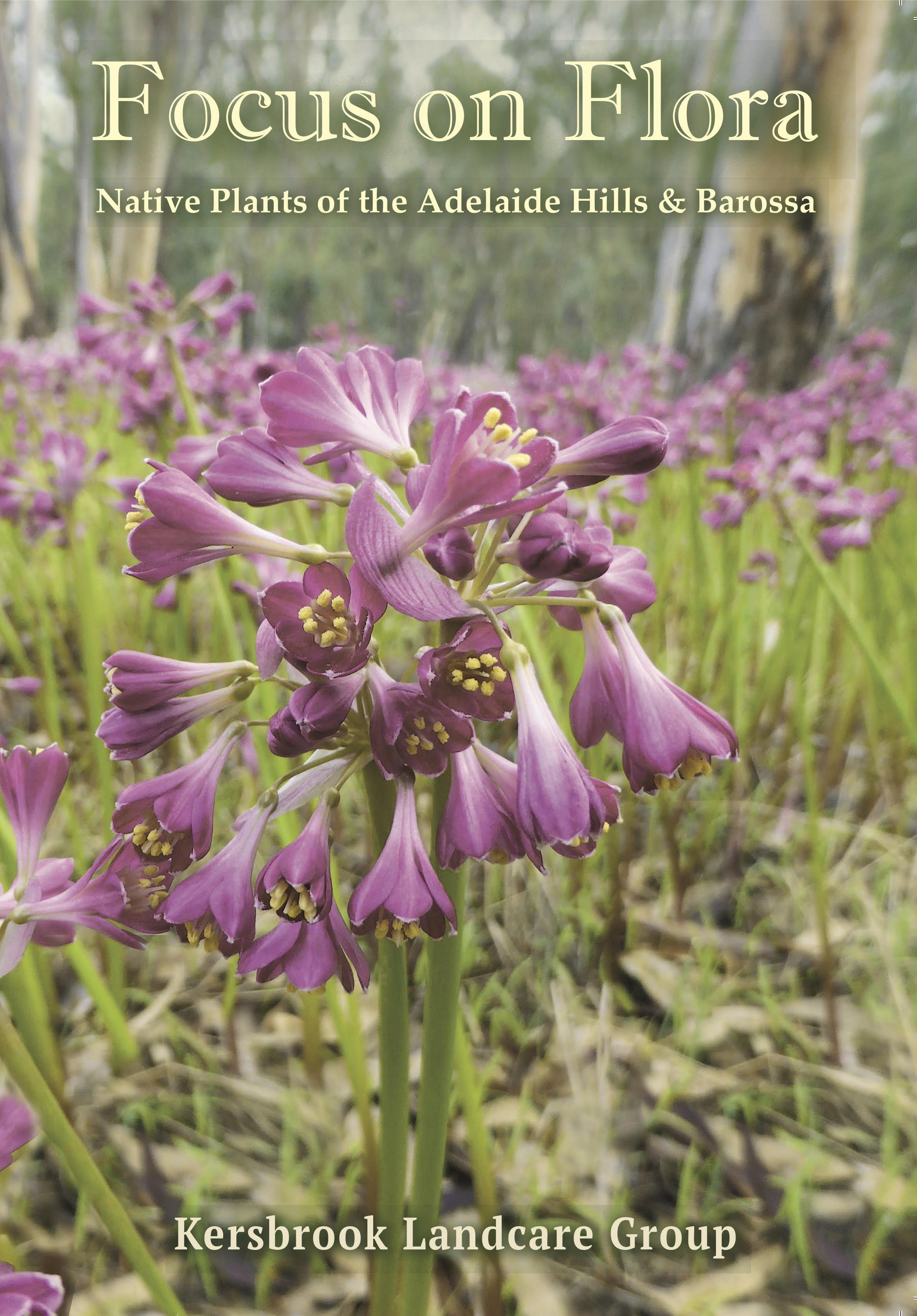 Focus on Flora Book Cover